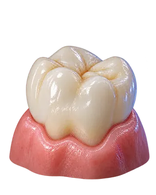 Zirkonyum kaplama konusuna ait temsili dental görsel